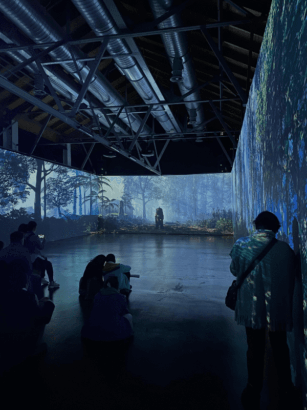 Gizemli Dünyalar / Mayalar